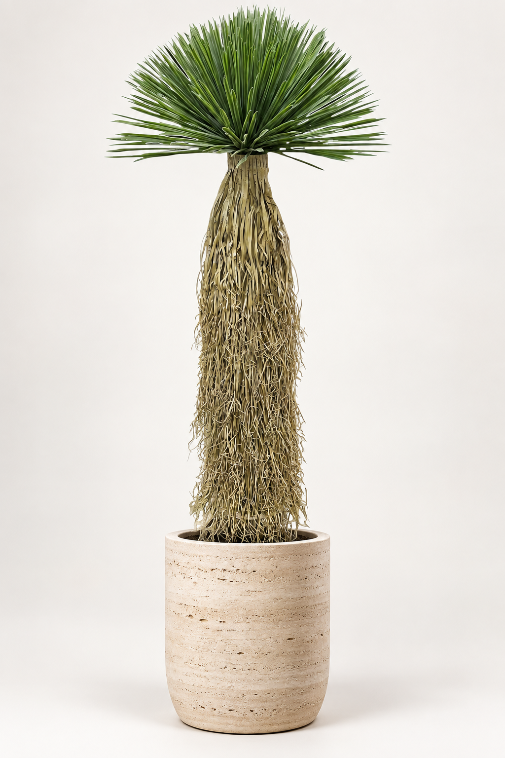 Artificial Green Yucca Rostrata Plant 5 Feet