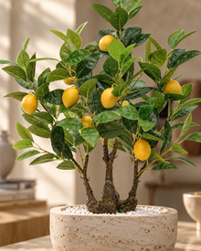 Artificial Lemon Bonsai 2 Feet