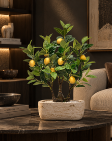Artificial Lemon Bonsai 2 Feet
