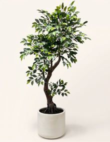 Artificial Twisted Trunk Ficus Tree 6 Feet
