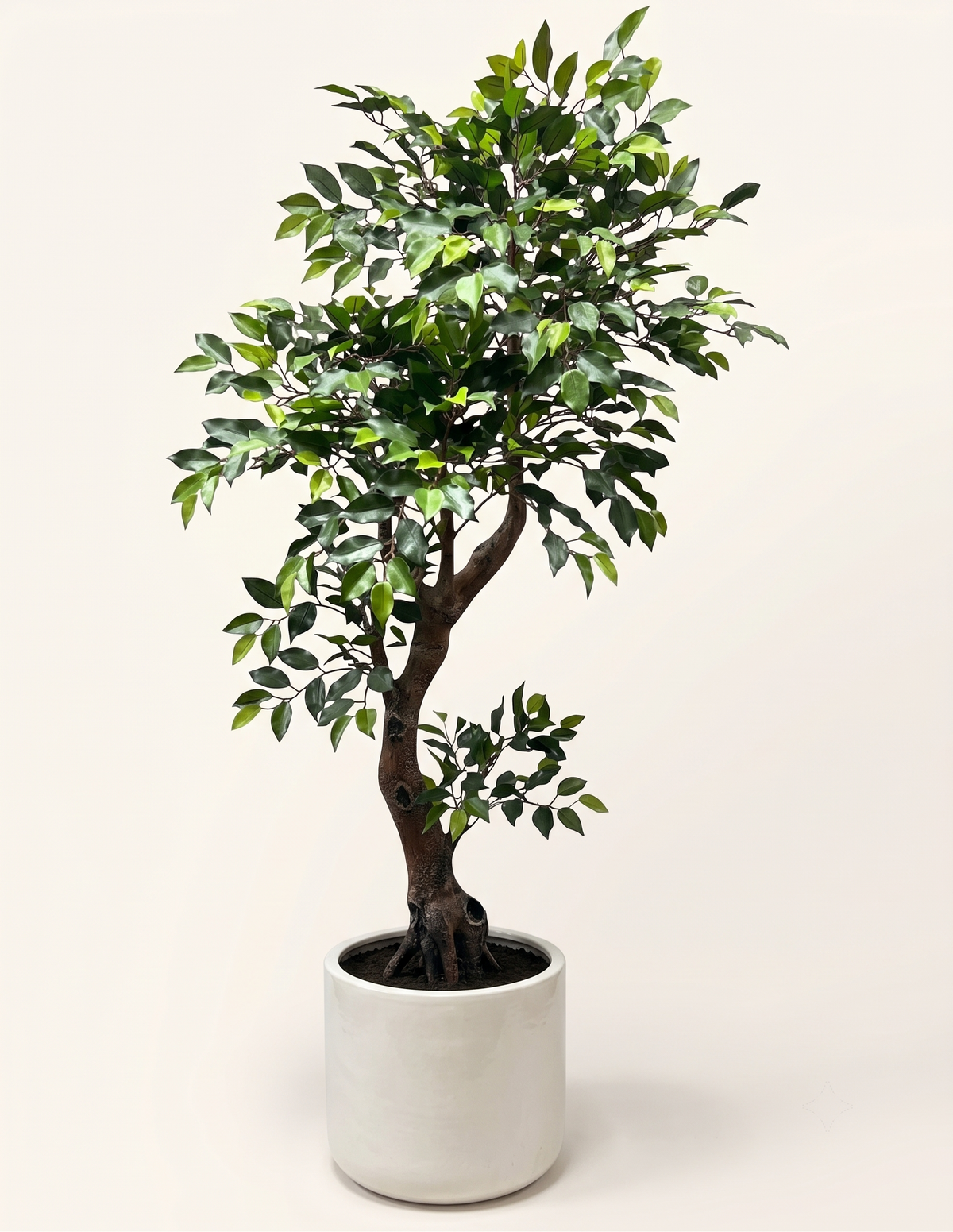 Artificial Twisted Trunk Ficus Tree 6 Feet