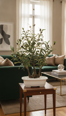 Artificial Olive Bonsai - 2 Feet