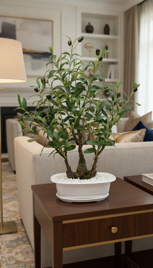 Artificial Olive Bonsai - 2 Feet