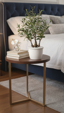 Artificial Olive Bonsai - 2 Feet