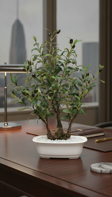 Artificial Olive Bonsai - 2 Feet
